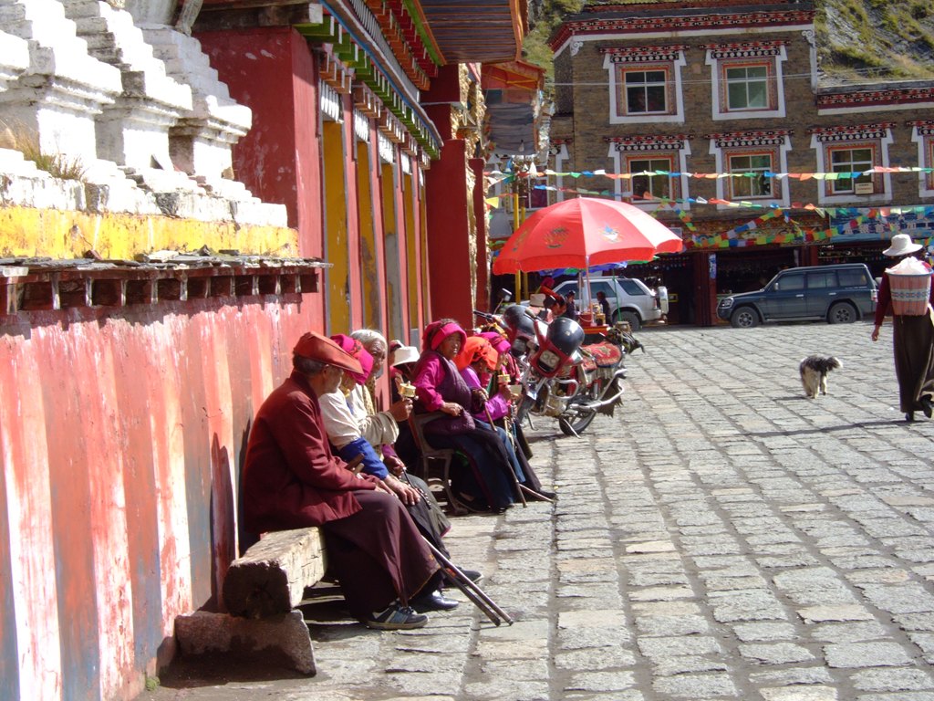 RZyoYuiP.jpg