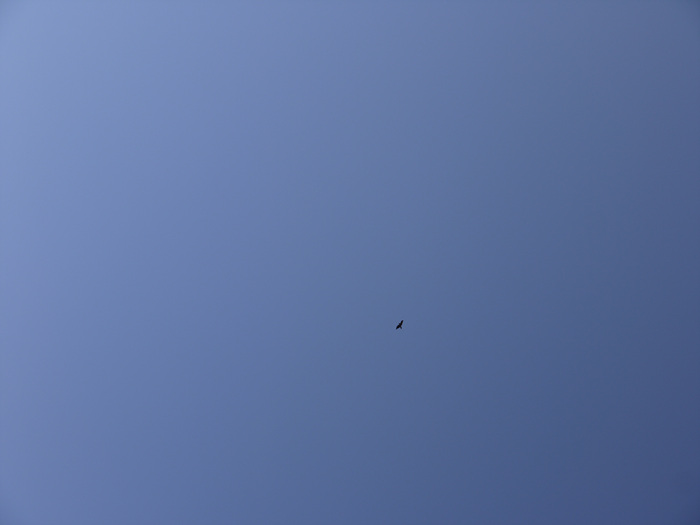 P1020613.jpg