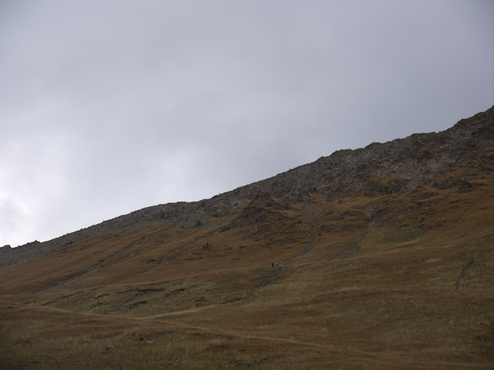 P1020850.jpg