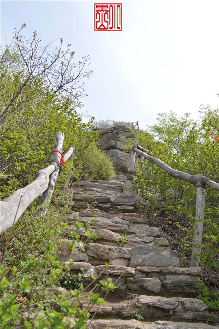 DSC_0060.jpg