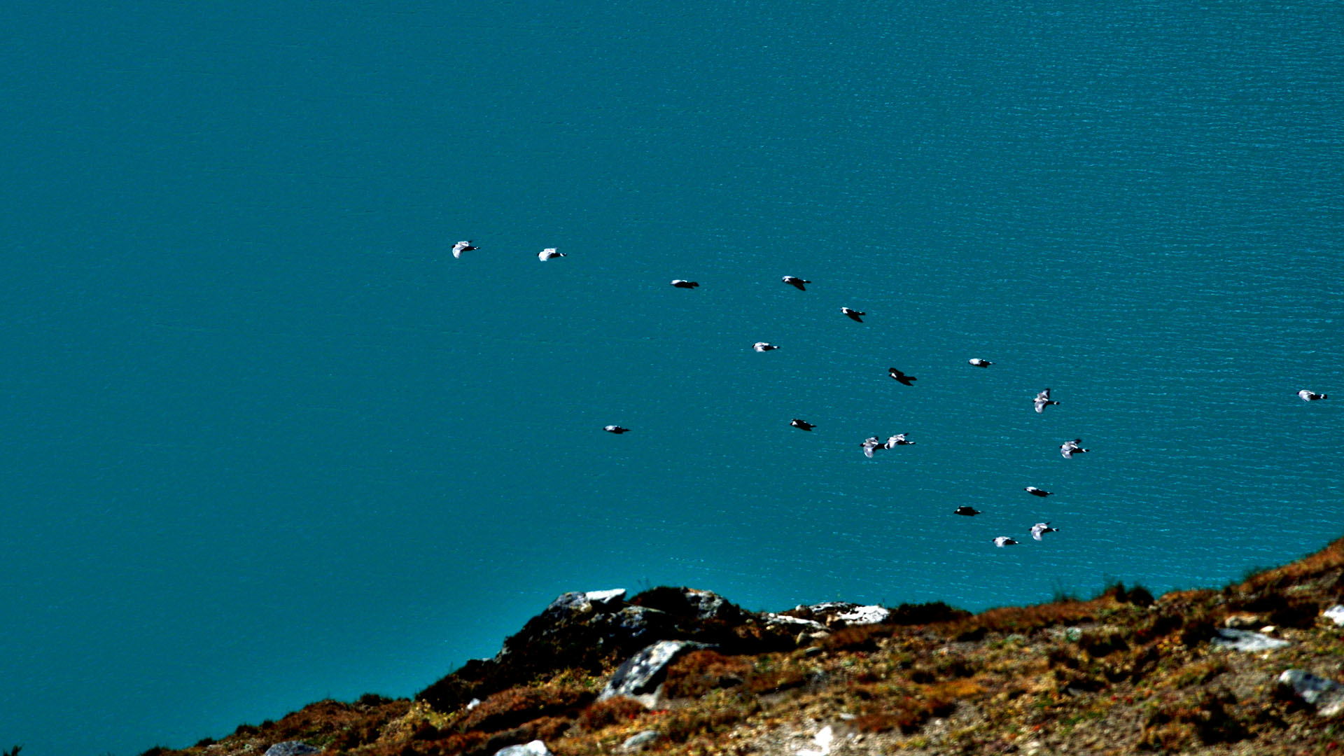 DSC_1836_看图王.jpg
