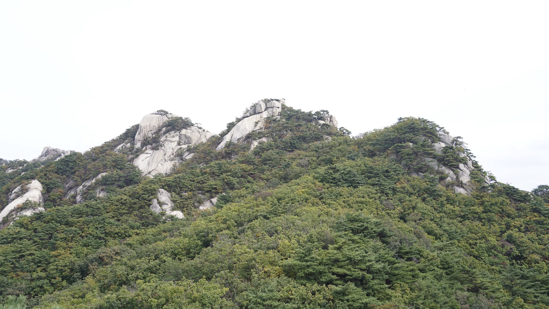 _DSC6518.JPG