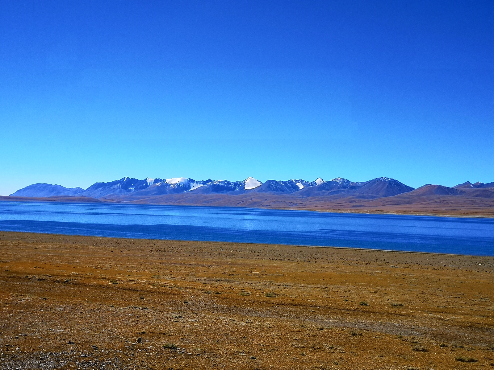 IMG_20201010_124121.jpg